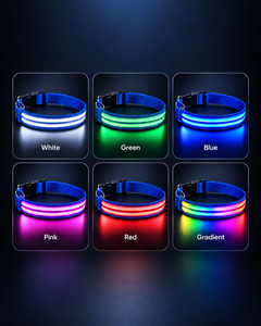 LED Dog Collar Because It's Dark at Five