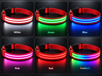 LED Dog Collar Because It's Dark at Five