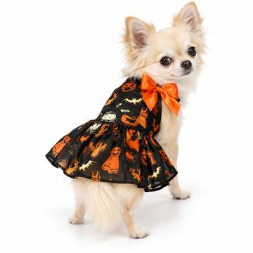 The Pumpkin Party Dress