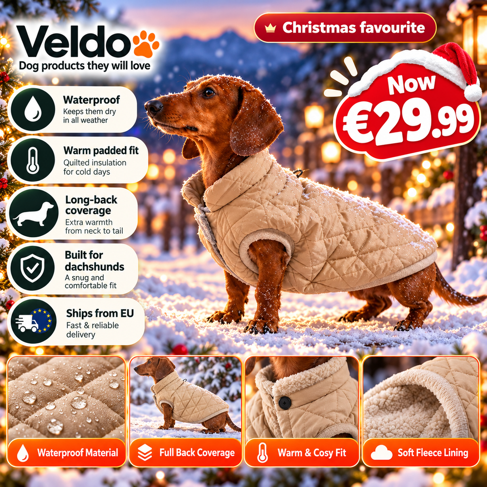 Dachshund Winter Coat, Warm Waterproof Padded Dog Jacket