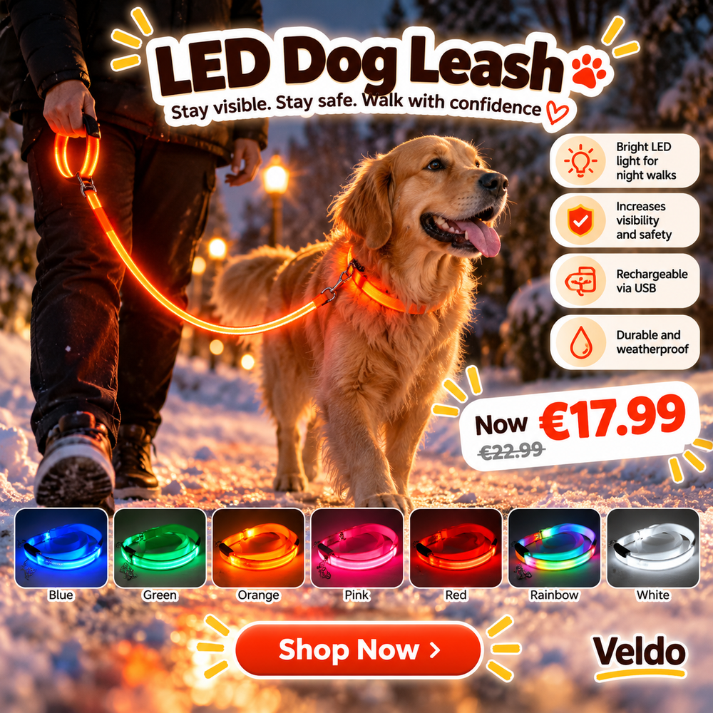 Glowing LED Dog Leash - USB Rechargeable Night Walk Lead