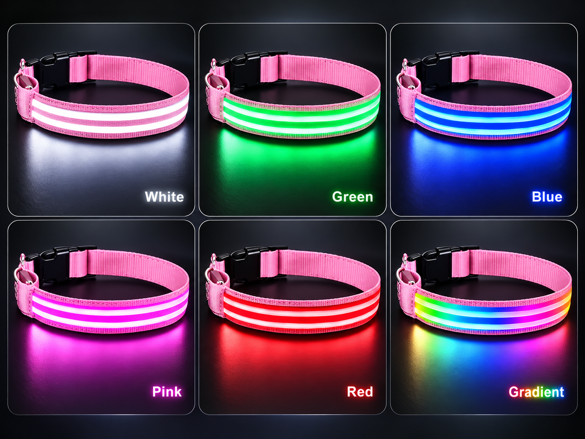 LED Dog Collar  Because It's Dark at Five